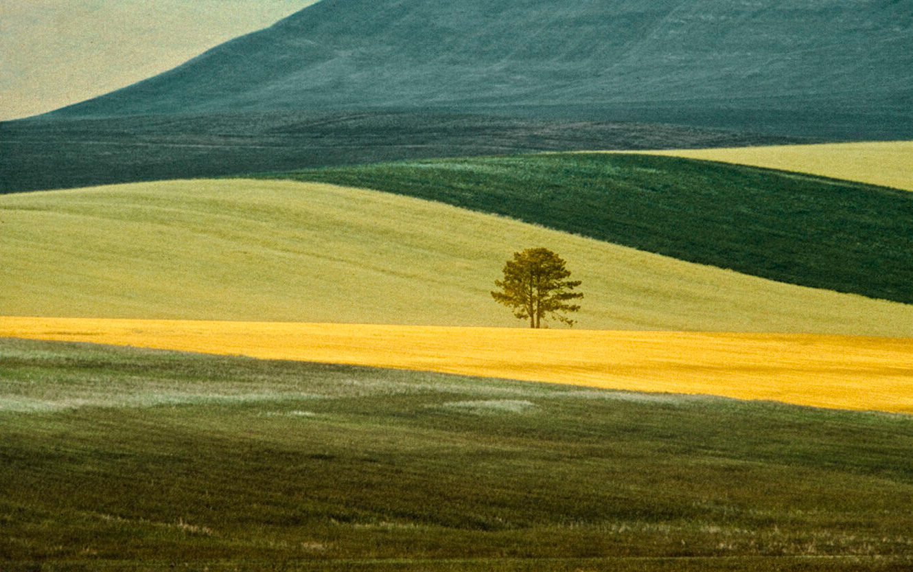 BLUE ブルー : Franco Fontana フランコ・フォンタナ(フランコ