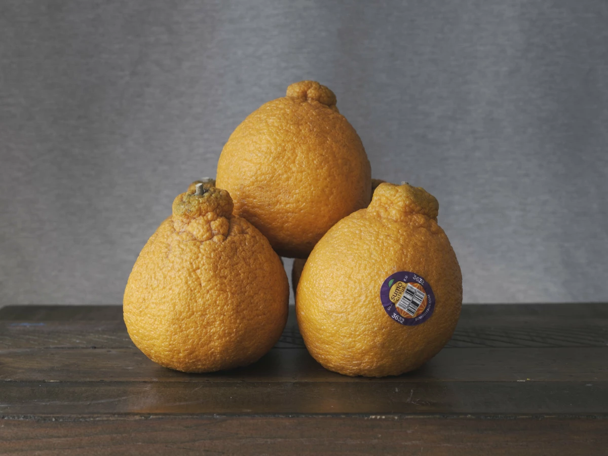 William Rice | The Independent Photographer