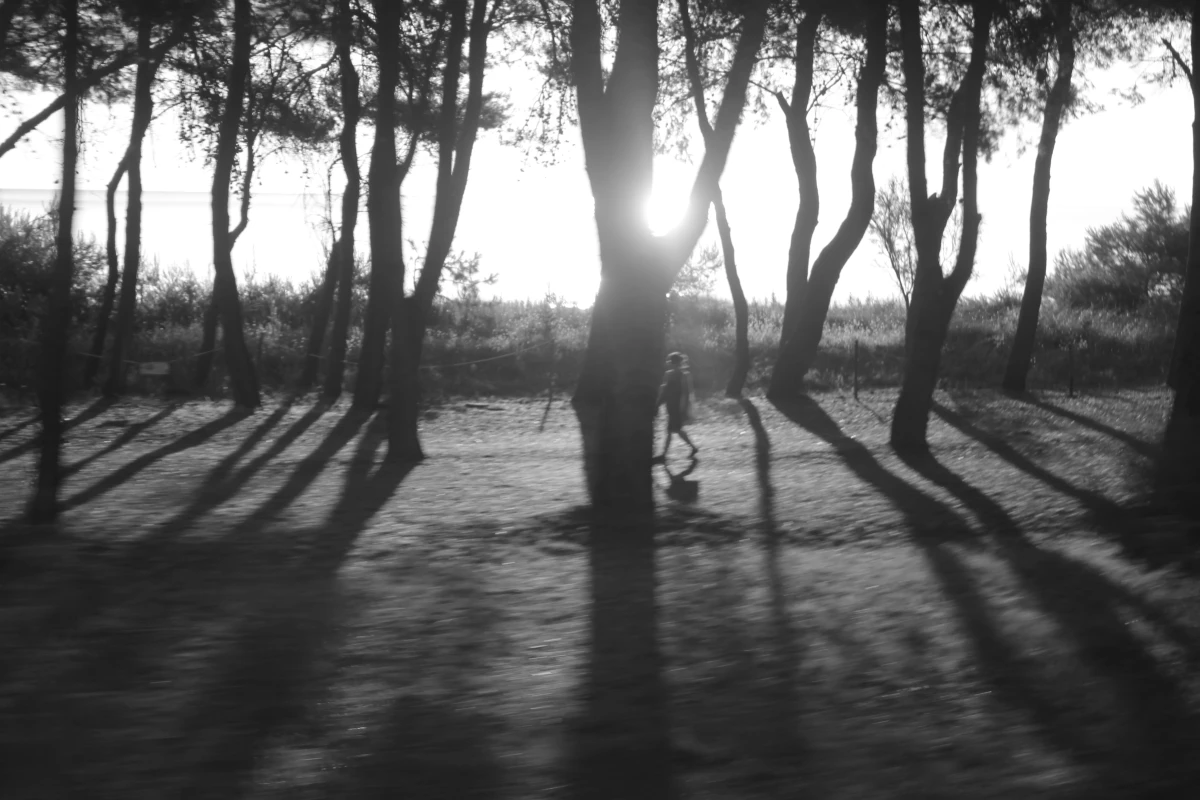 Giulia Costantini The Independent Photographer