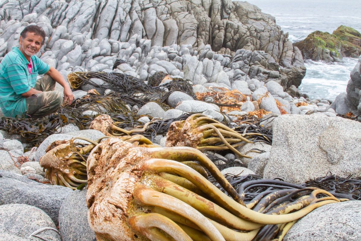 Fernanda Retamal The Independent Photographer