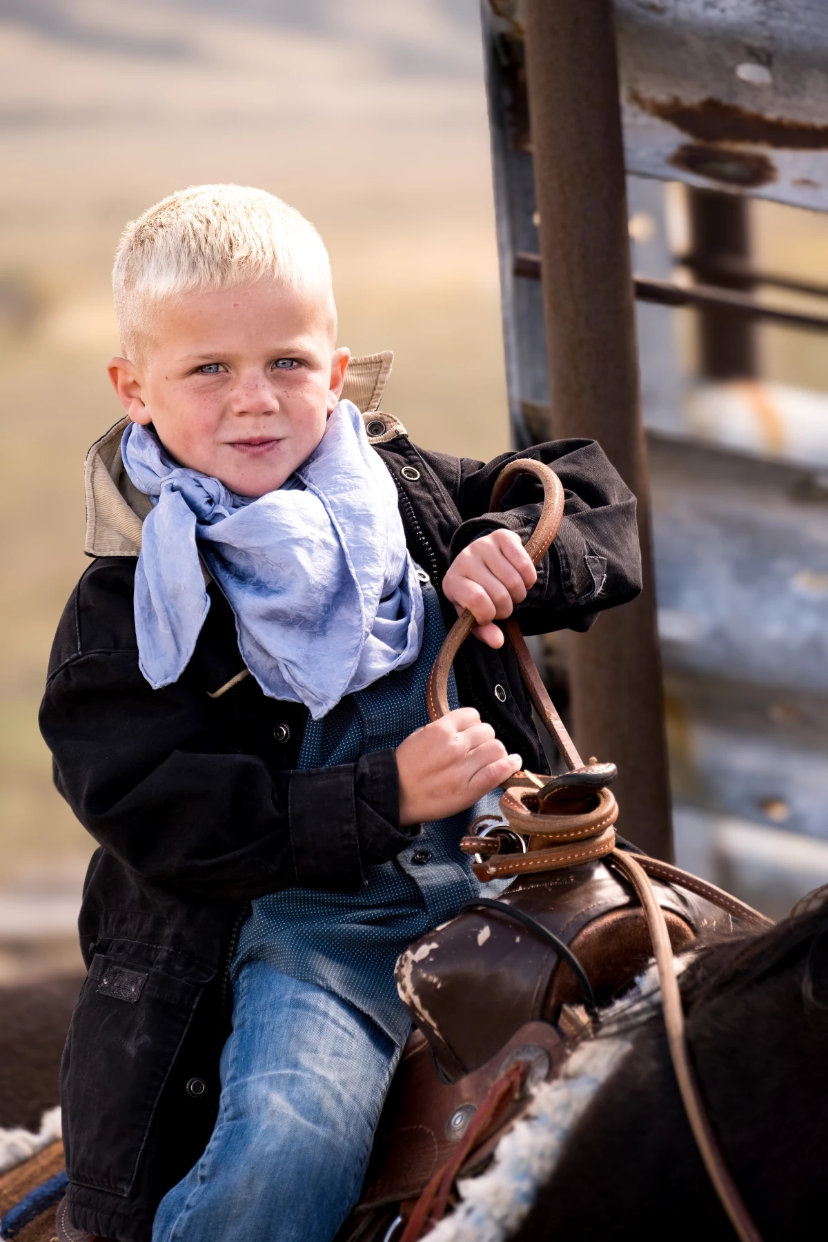 Robert Stevens The Independent Photographer