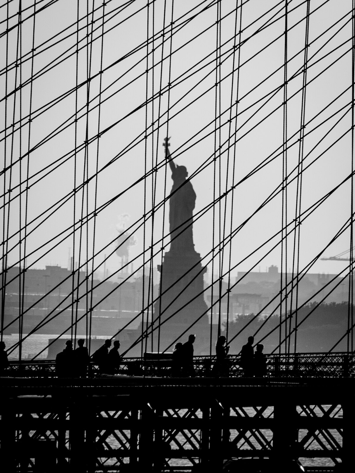 David Hall The Independent Photographer