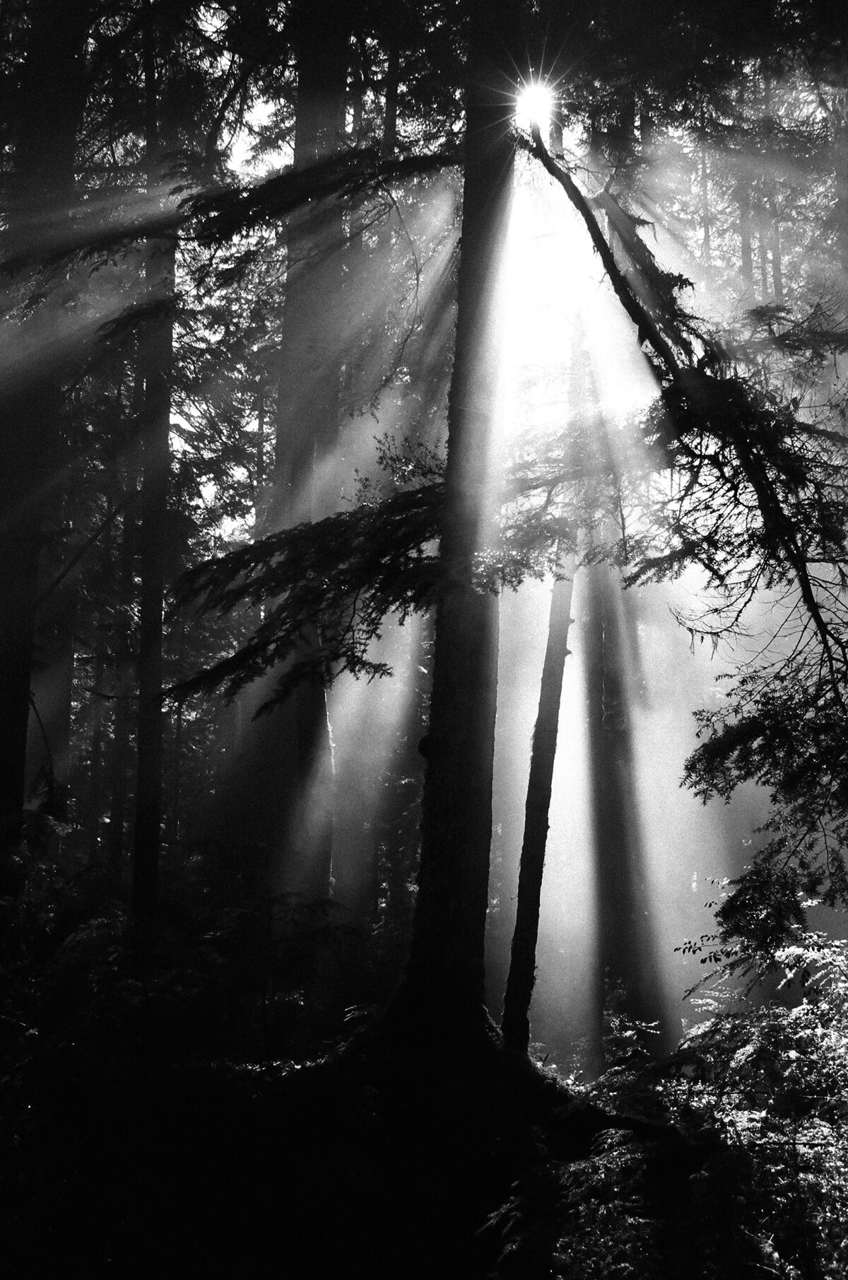 Jason Blair | The Independent Photographer