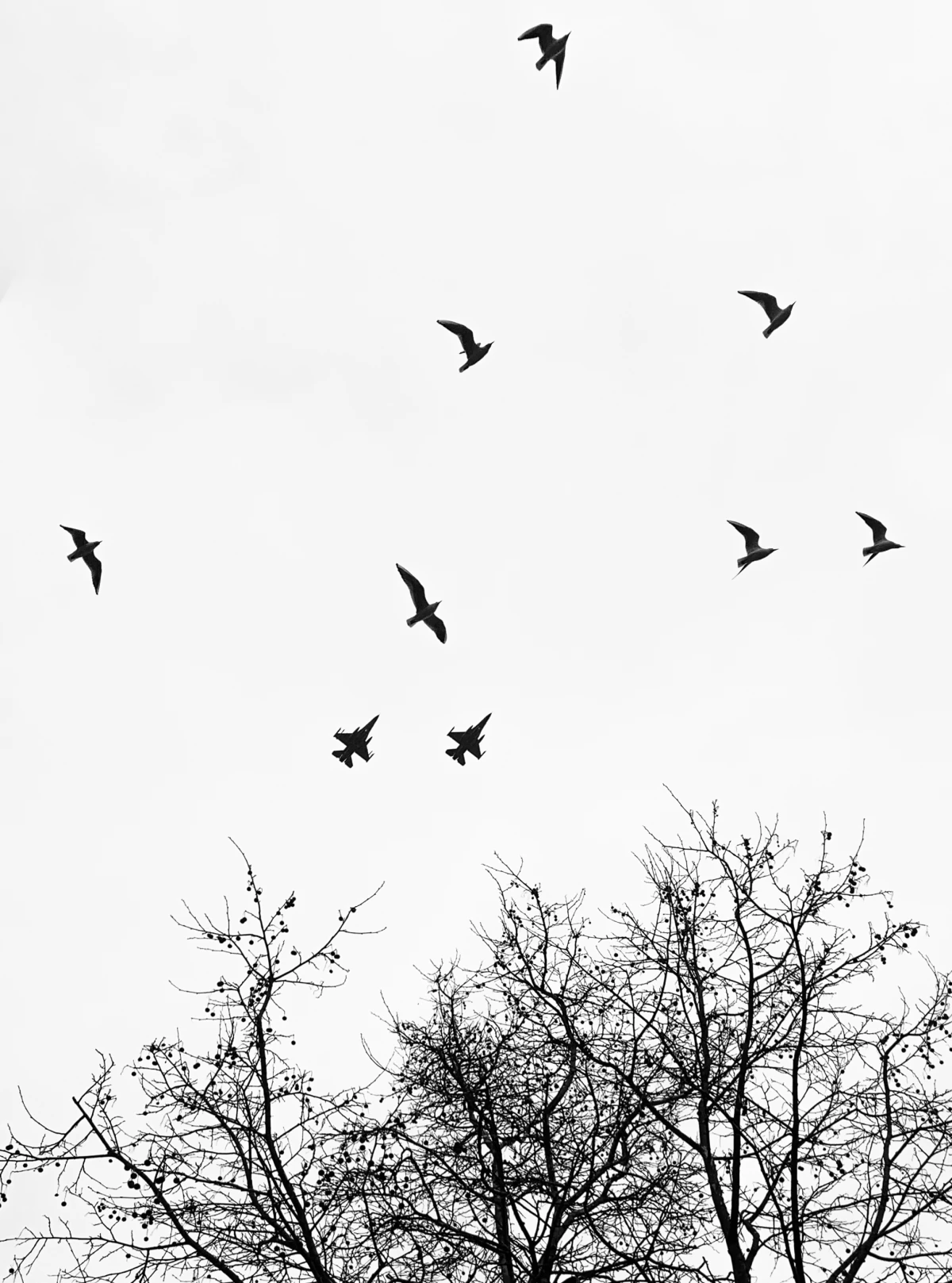 R Van schijndel The Independent Photographer