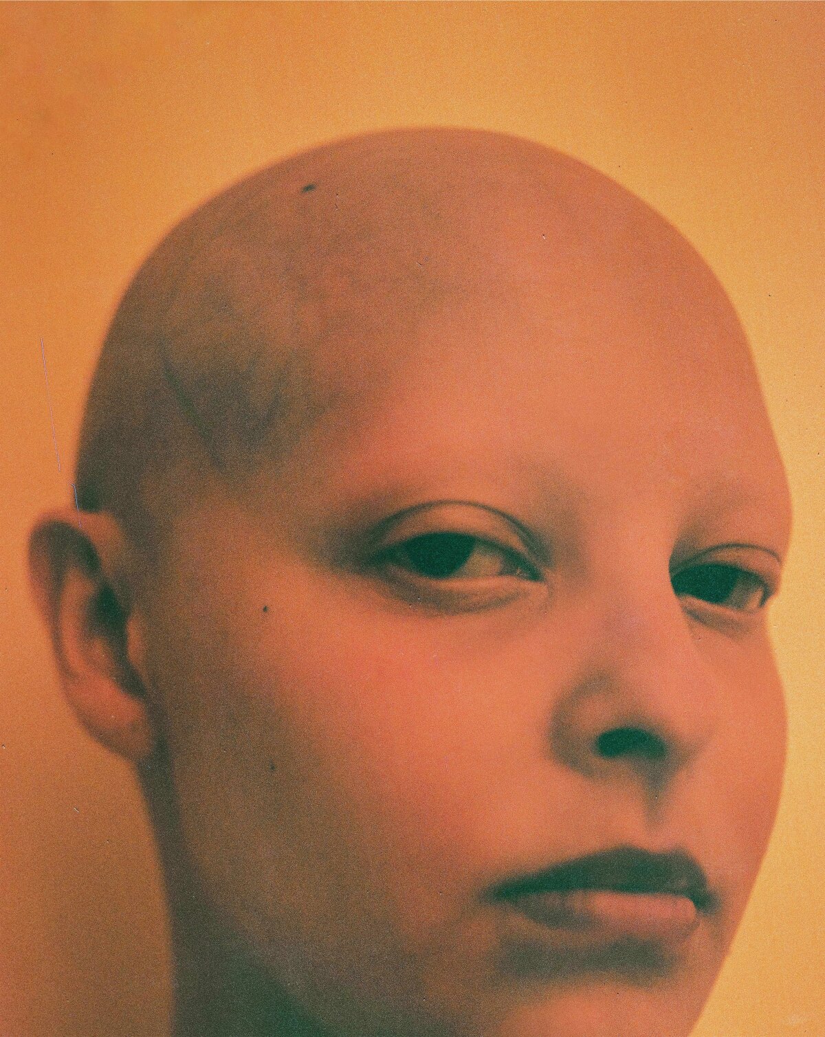 Arianna Angelini The Independent Photographer