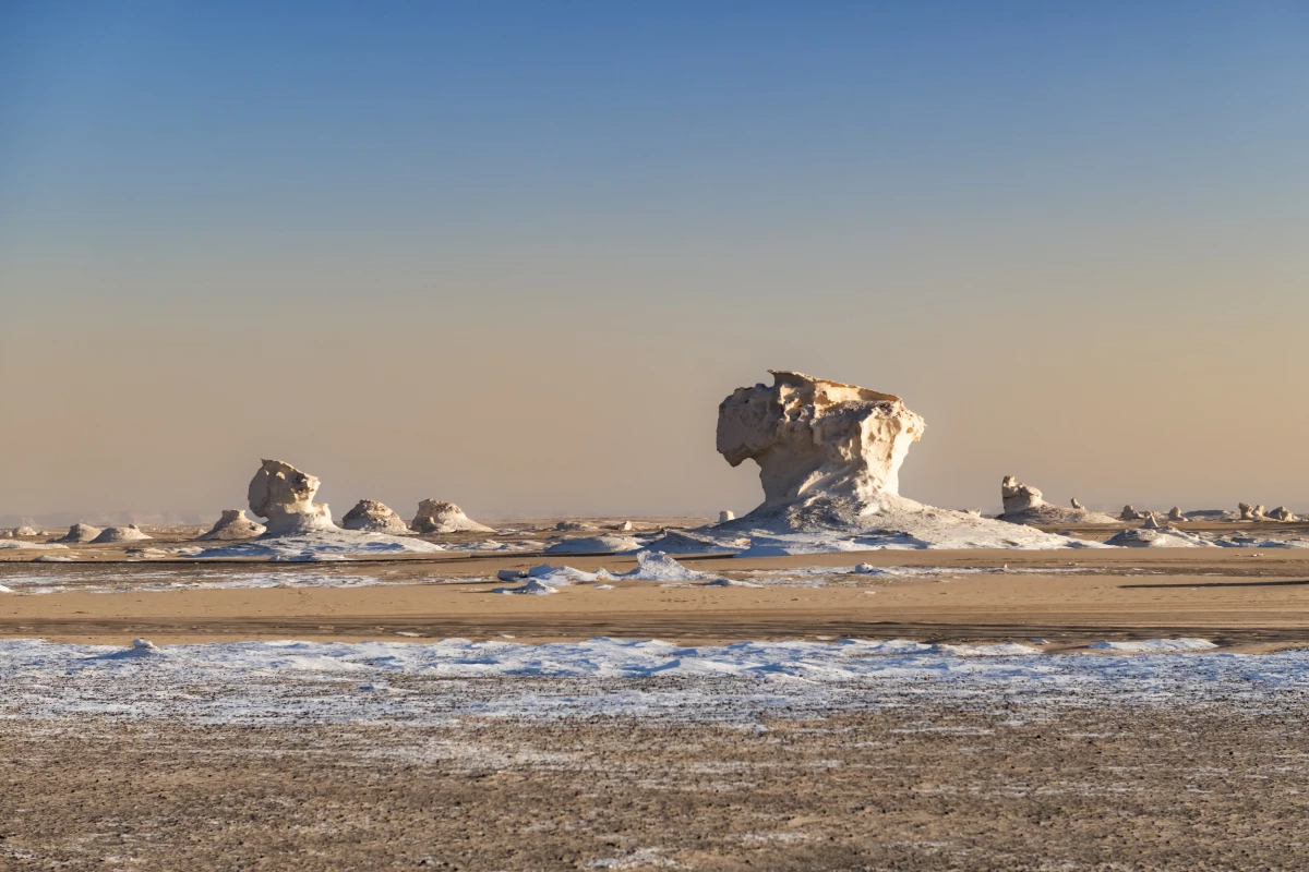 Natasha Wheatley The Independent Photographer