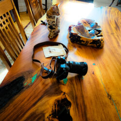 Douglas Smyth The Independent Photographer