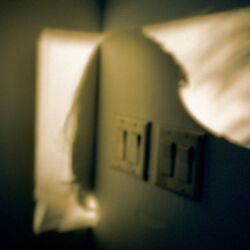 Frances Cobain | The Independent Photographer