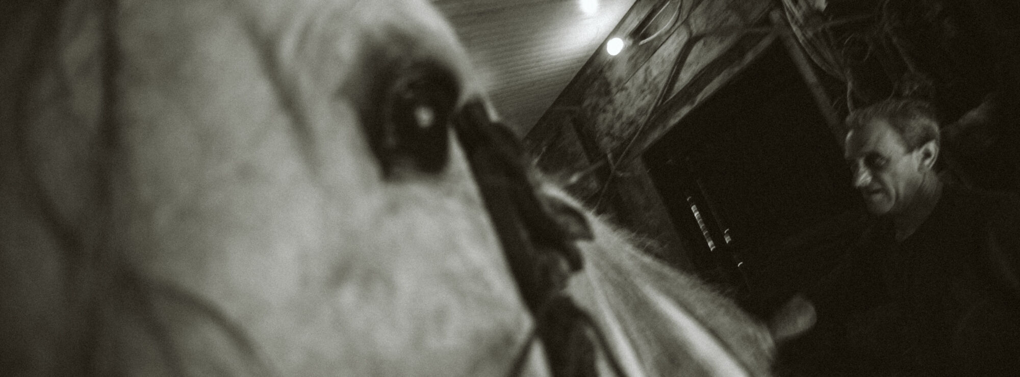 Francesco gentile the independent photographer
